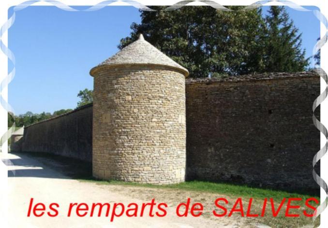 Le Puits Fortifie Salives Εξωτερικό φωτογραφία